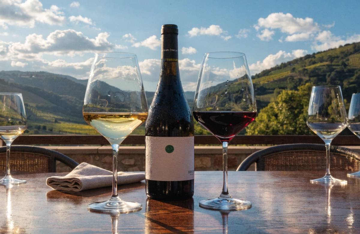 Дегустация премиальных вин винодельни «Криница» в интерьере отеля Райморис