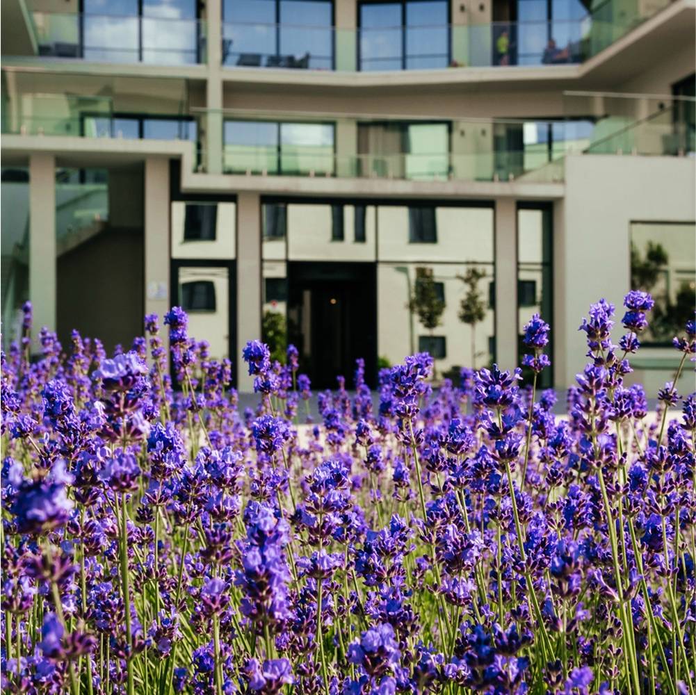 Отель Райморис - официальный сайт. Отдых на черном море. Геленджик. Бетта.