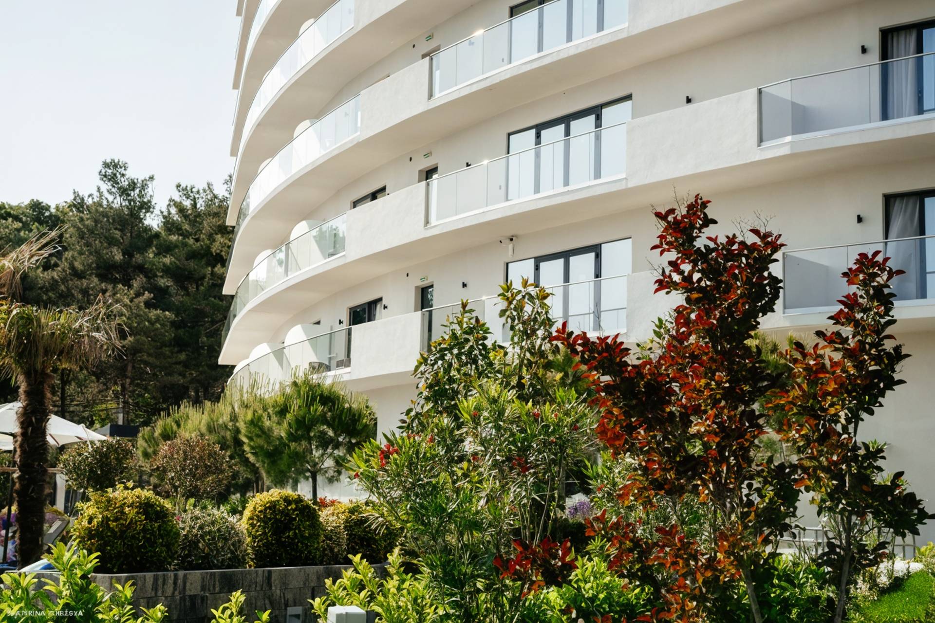 Отель Райморис - официальный сайт. Отдых на черном море. Геленджик. Бетта.