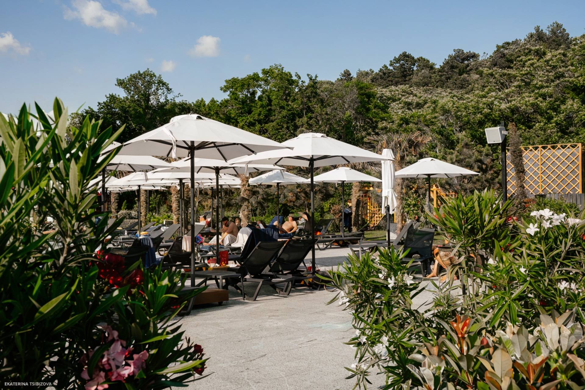 Отель Райморис - официальный сайт. Отдых на черном море. Геленджик. Бетта.