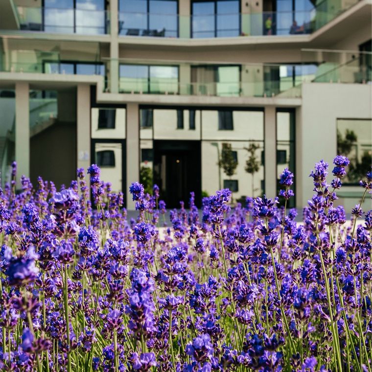 Тариф «Дневной абонемент» | Новости | Отель Райморис - официальный сайт. Отдых на черном море. Геленджик. Бетта.