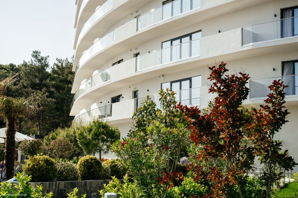 Отель Райморис - официальный сайт. Отдых на черном море. Геленджик. Бетта.