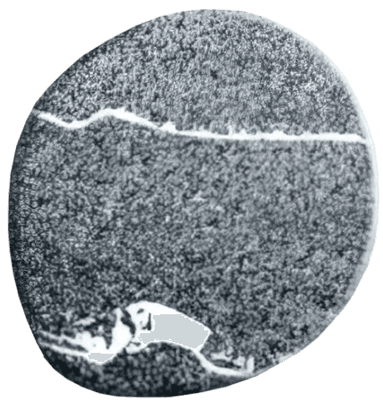 Отель Райморис - официальный сайт. Отдых на черном море. Геленджик. Бетта.